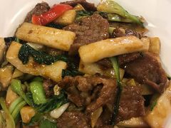 XO酱牛肉炒年糕-日昌餐馆(亦庄店)