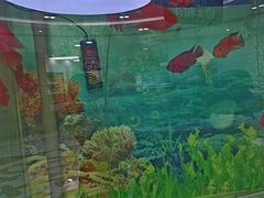 -雅悦齿科(顾村公园店)