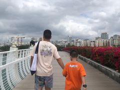 -于春正宗椰奶清补凉炒冰