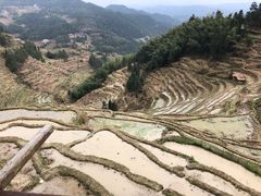 -紫鹊界梯田景区