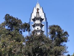 -墨池公园