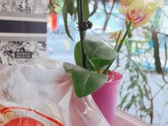 -节节香.成都非遗肥肠粉(总店)