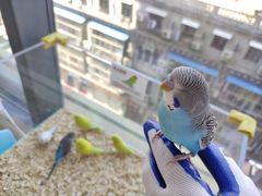 -怪兽屋·羊驼·猫咖·狗咖(俊华广场店)