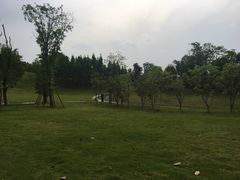 -成都保利公园皇冠假日酒店(熊猫基地店)