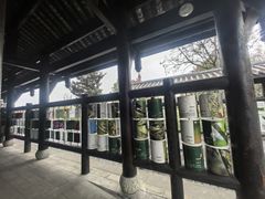 -白鹭湾湿地公园