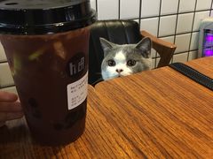 Darling-Hi.TEA茶室(琶洲店)