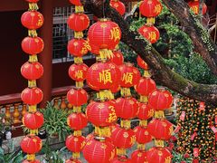 -深圳仙湖植物园