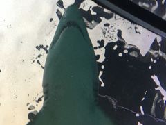 -悉尼海洋生物水族馆