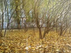 -黑龙江大学