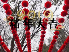 -天目湖山水园