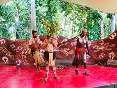 -热带雨林自然公园