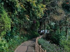 -水濂山森林公园