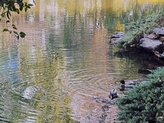 -华雅花园大酒店