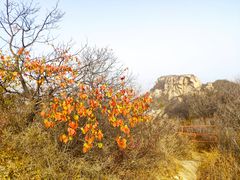 -北京密云天门山风景区