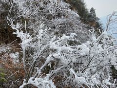 -金子山原生态旅游风景区