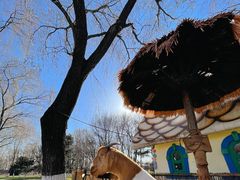 -北京野生动物园