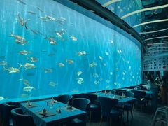 -瑞德姆美人鱼海底演艺主题餐厅(亚龙湾店)