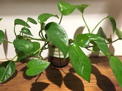 -阿木舂记·特色小吃(平江路店)