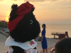 -海岛日记(养马岛店)