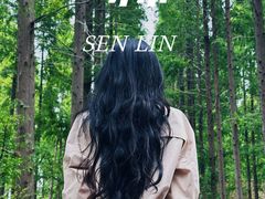 -黄海国家森林公园