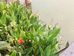 -咸宁万豪温泉谷度假区