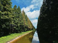 -黄海国家森林公园