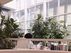 -大树餐厅(红旗街万达店)