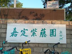 -嘉定紫藤园
