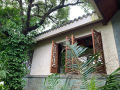 -三亚亚龙湾人间天堂鸟巢度假村