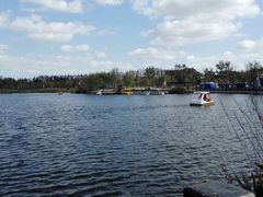 -上海长兴岛郊野公园