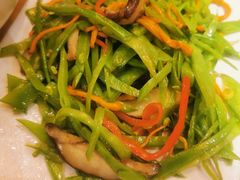 五彩花菇荷兰豆-云海肴·汽锅鸡·云南菜(东坝金隅店)