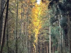 -山王坪喀斯特国家生态公园