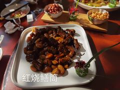 -椿不老