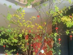-新兴·金羊座·粤菜点心(乐峰店)