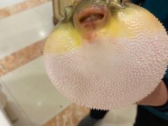 -味雅大酒店