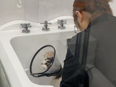 -爱洗澡的猫(天河路店)