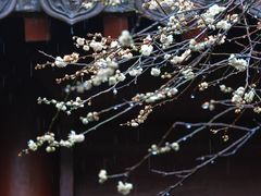 -钱王祠