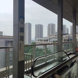 -青禾造型&刺青