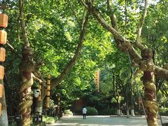 -杭州黄龙洞