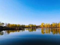 -东郊湿地公园