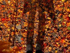 -叠溪松坪沟景区