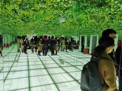 -印象莫奈时光映迹艺术展