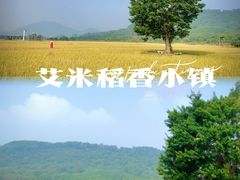 -风云岭森林公园