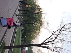 -洛阳市隋唐城遗址植物园