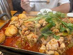 -冯记鲜鱼杂·烤活鱼·烧烤(东城店)