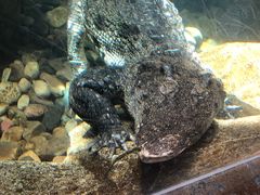 -波塞冬旅游度假区