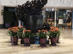 -大连富丽华大酒店