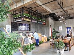 -了不起的考拉咖啡店(高新店)