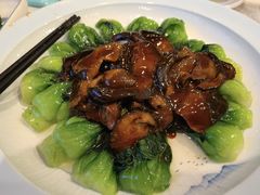 -旭龙鱼头王(航华店)