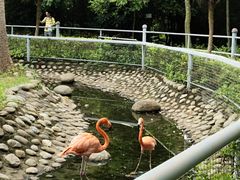 -广东茂名森林公园
